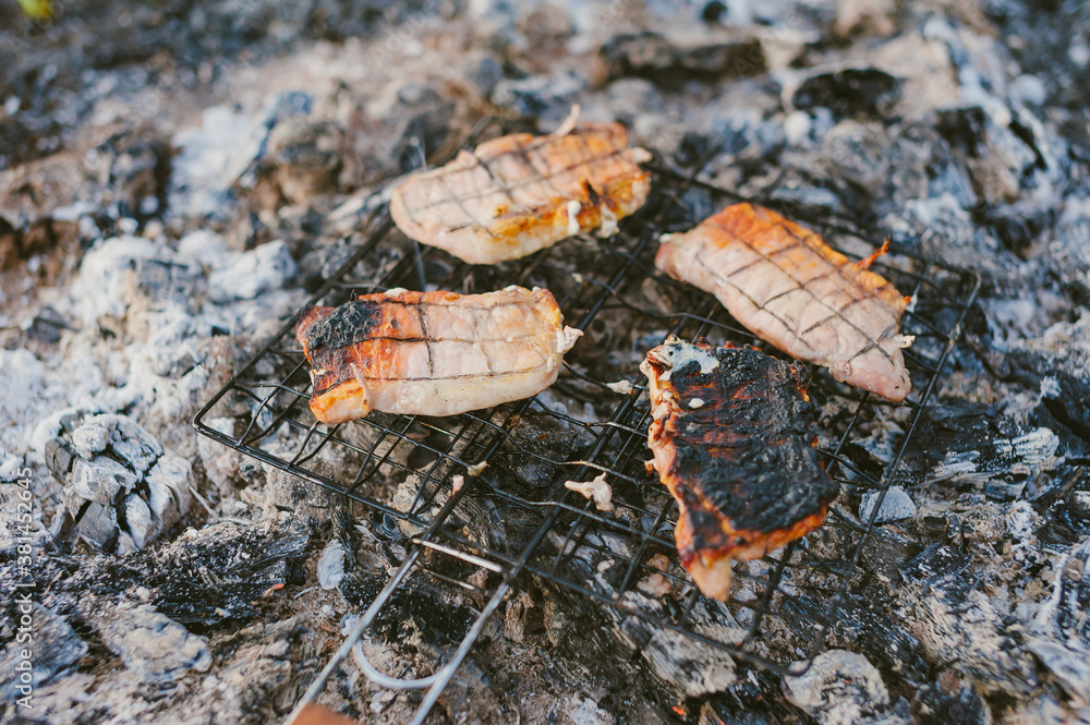 Meat on a wire rack over a fire. Picnic in nature. Meat on a wire rack over a fire. Picnic in nature.