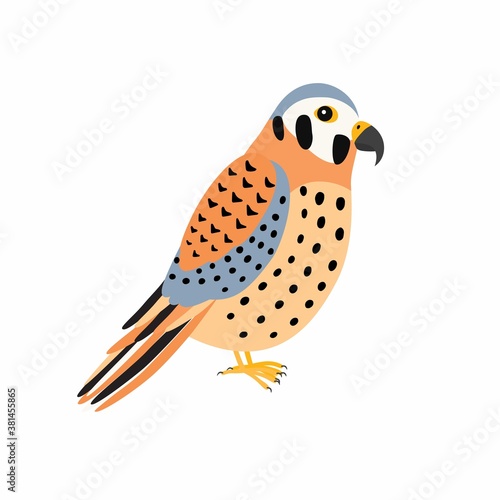 Kestrel bird. Vector illustration Isolated on white background.