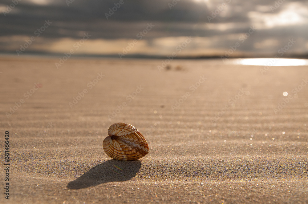 spiaggia