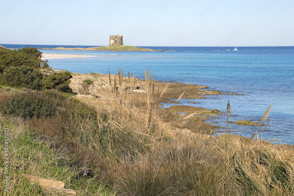 spiaggia pelosa