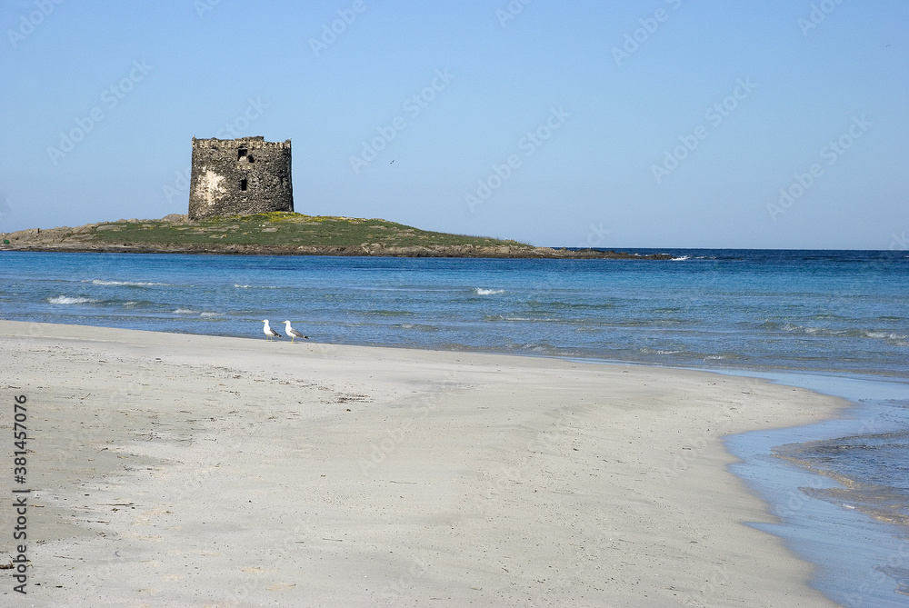 spiaggia pelosa
