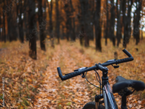 Close-up of a Bicycle on the background of an autumn forest. Cycling in the warm autumn copy space © pavelkant