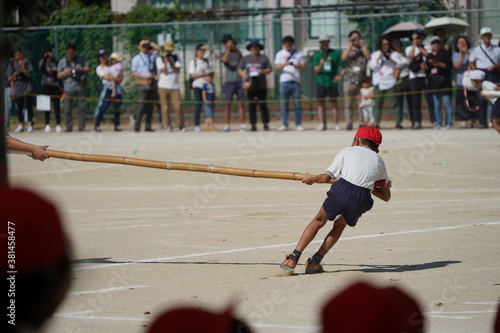 運動会　競技　棒引き　少年　体育祭　小学校　校庭　児童