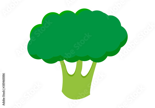 Brócoli verde en un fondo blanco.