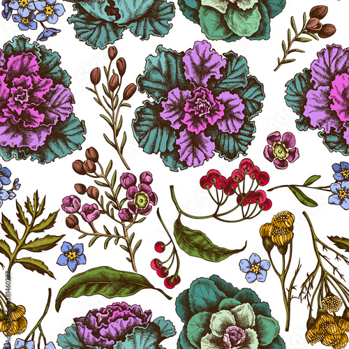 Seamless pattern with hand drawn colored wax flower, forget me not flower, tansy, ardisia, brassica, decorative cabbage