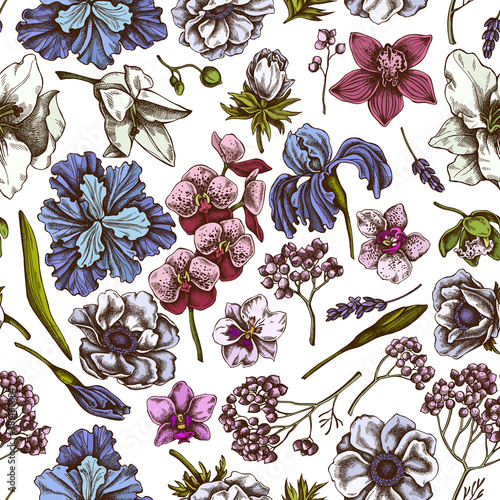 Seamless pattern with hand drawn colored anemone, lavender, rosemary everlasting, phalaenopsis, lily, iris