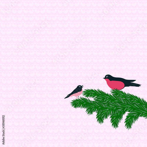 Tits on a spruce branch, pink light background with geometric ornament - vector. New Year. Christmas.
