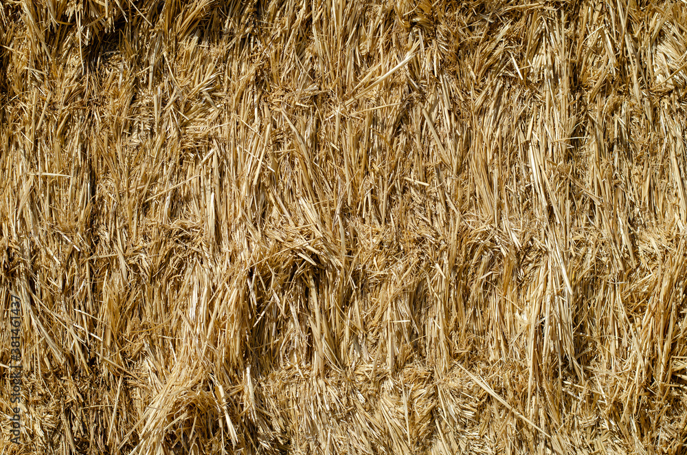 Texture of dry straw in rectangular bales. Texture of dry straw in rectangular bales.