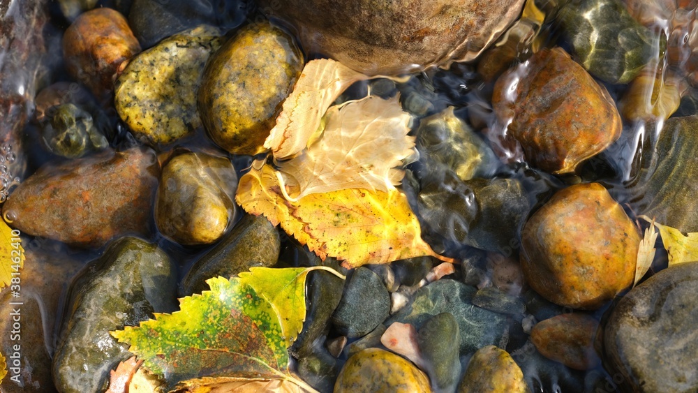 Yellow birch leaves on the background of colorful river stones. Autumn, abstract composition. Yellow birch leaves on the background of colorful river stones. Autumn, abstract composition.