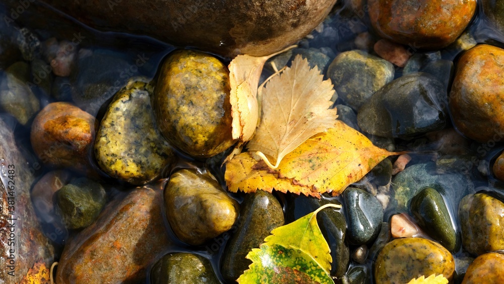 Yellow birch leaves on the background of colorful river stones. Autumn, abstract composition. Yellow birch leaves on the background of colorful river stones. Autumn, abstract composition.