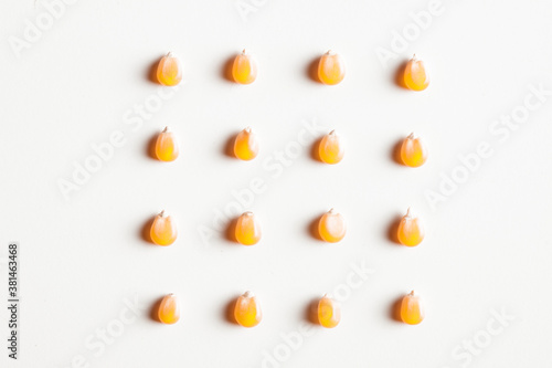 corn yellow seeds square composition isolated on white background
