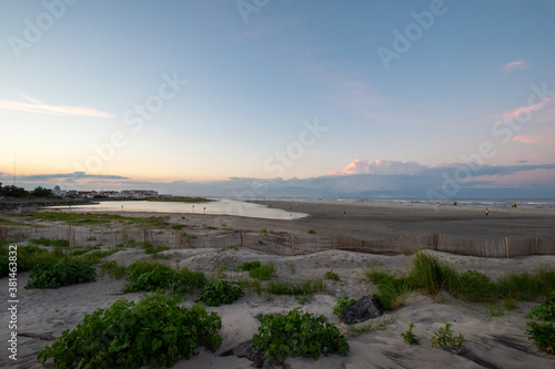 A Gorgeous Beach View With Plants Dunes and a Small Wooden Fence in North Wildwood New Jersey