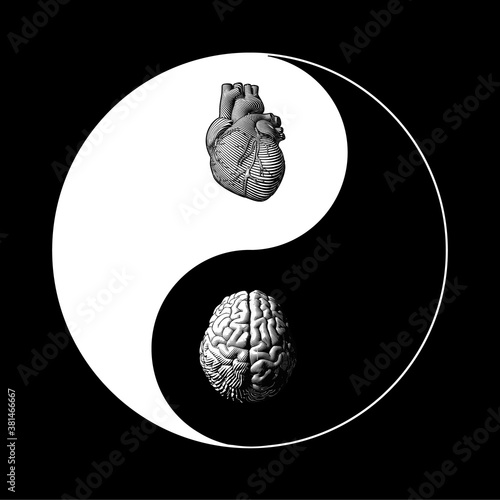 Yin Yang symbol with organ brain and heart illustration