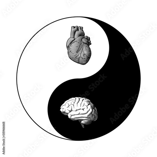 Yin Yang symbol with organ brain and heart illustration