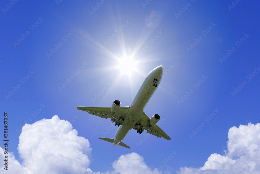 Fototapeta premium 飛行機と光と入道雲