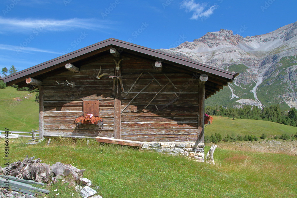 Obraz premium BAITA IN MONTAGNA IN VALTELLINA ITALIA, CHALET IN MOUNTAINS IN VALTELLINA VALLEY ITALY 