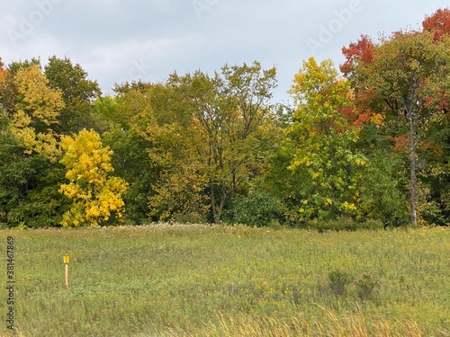 Minnesota Scenic Autumn Landscape