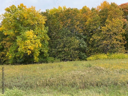 Minnesota Scenic Autumn Landscape