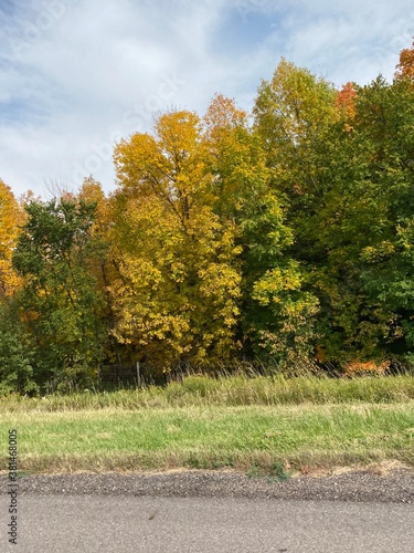 Minnesota Scenic Autumn Landscape