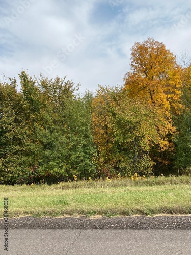 Minnesota Scenic Autumn Landscape