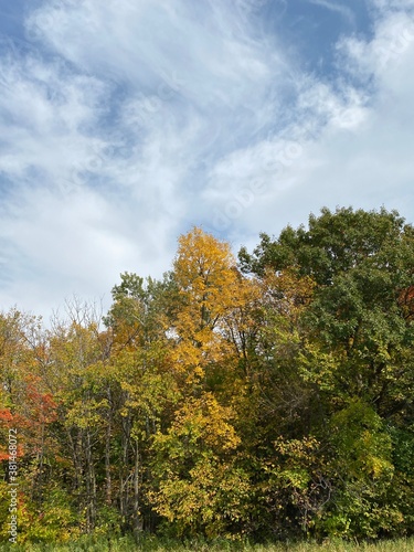 Minnesota Scenic Autumn Landscape