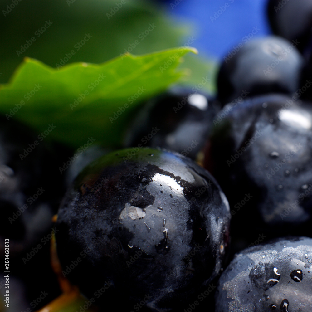 Black grape soft closeup with blurs Black grape soft closeup with blurs