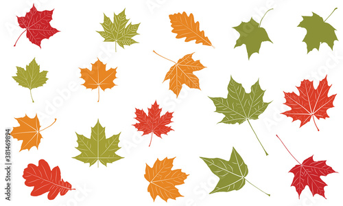 Autumn leaves Vector Set Illustration Fall Leaves