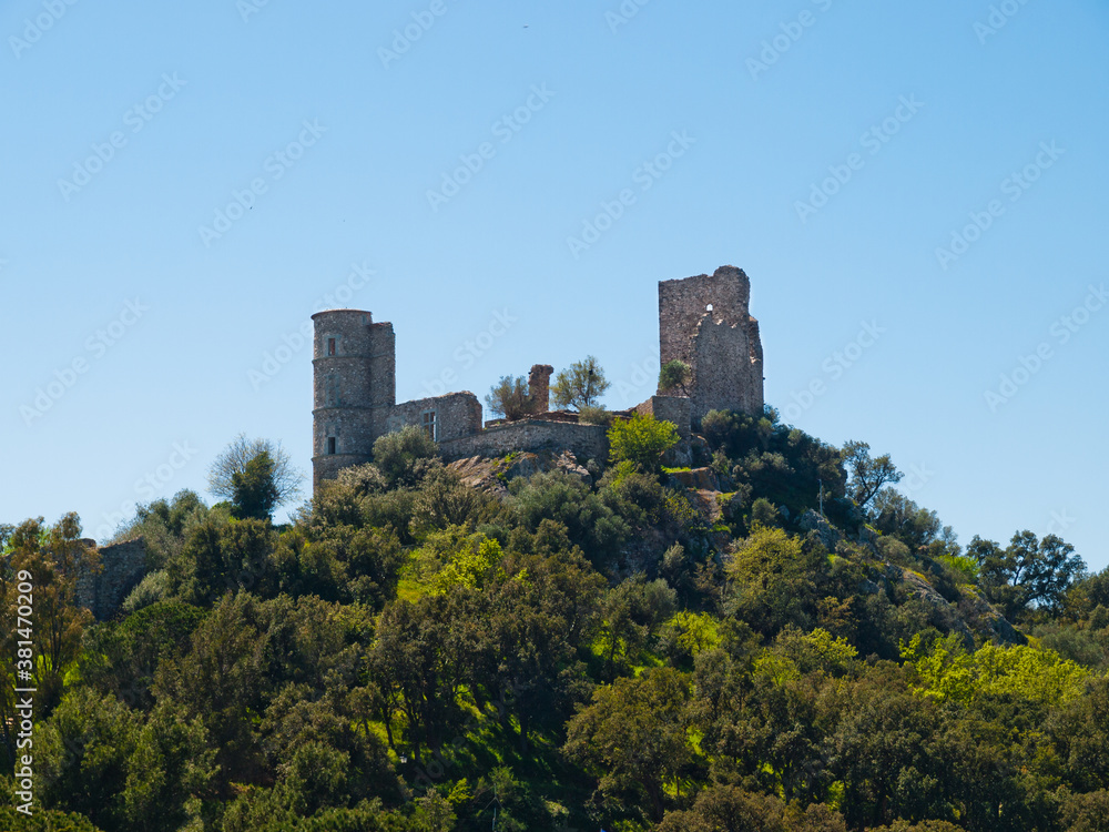Ruins of the castle Château de Grimaud, Cote d'Azur, Provence, southern France