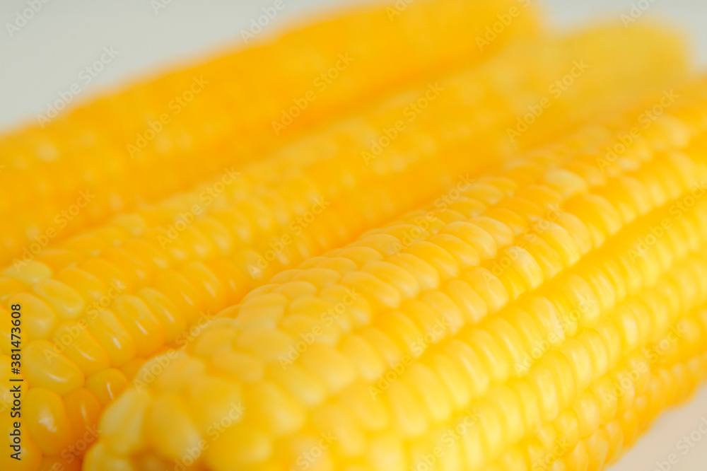 Fototapeta premium とうもろこし
