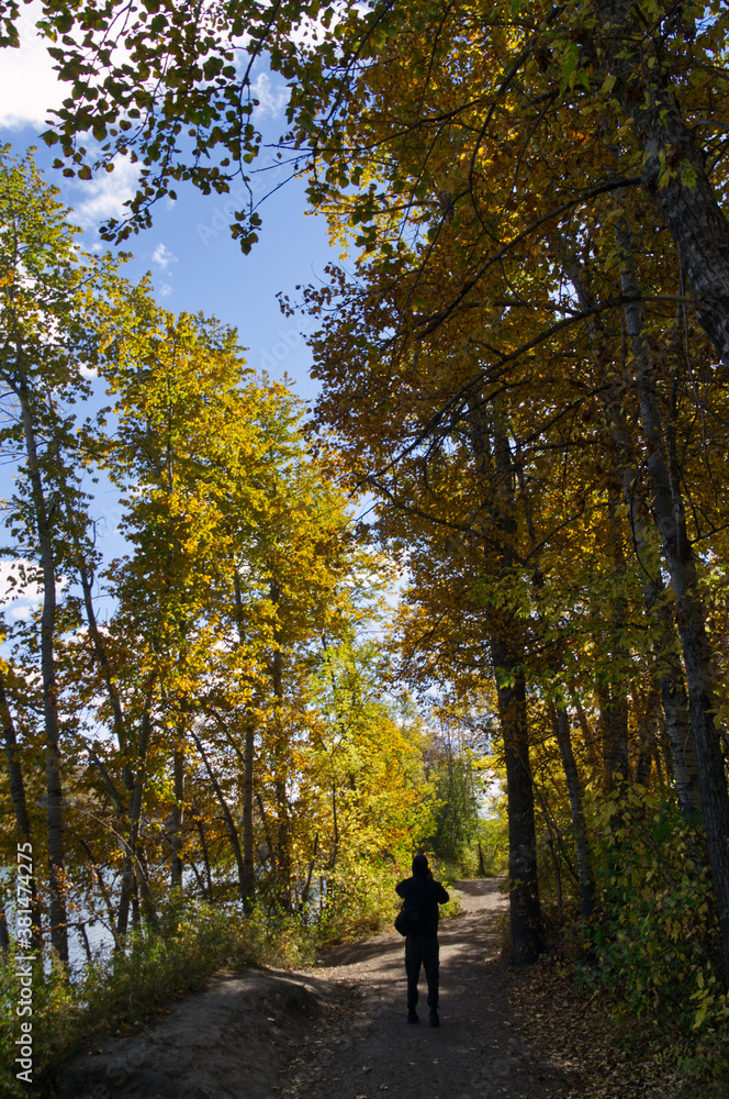 A Hiking Trail in Autumn