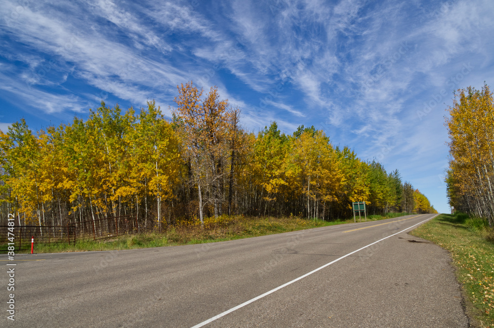Autumn Trees at Elk Island National Park