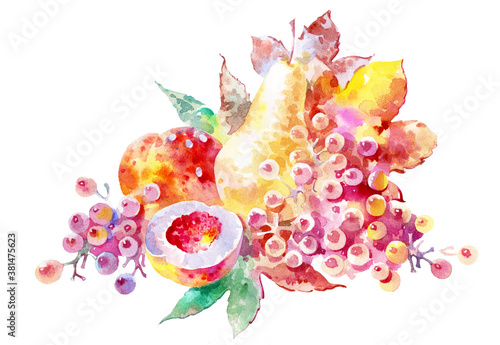 Ripe fruit isolated on a white background. Colorful fruits drawn in watercolor. Peaches, grapes and pears.