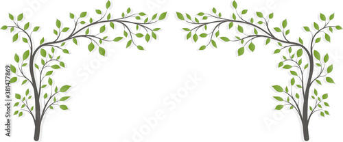 Two flowering trees with leaves in the form of an arch on a light background.