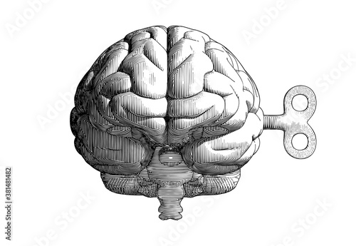 Vintage drawing brain and wind up key on white BG