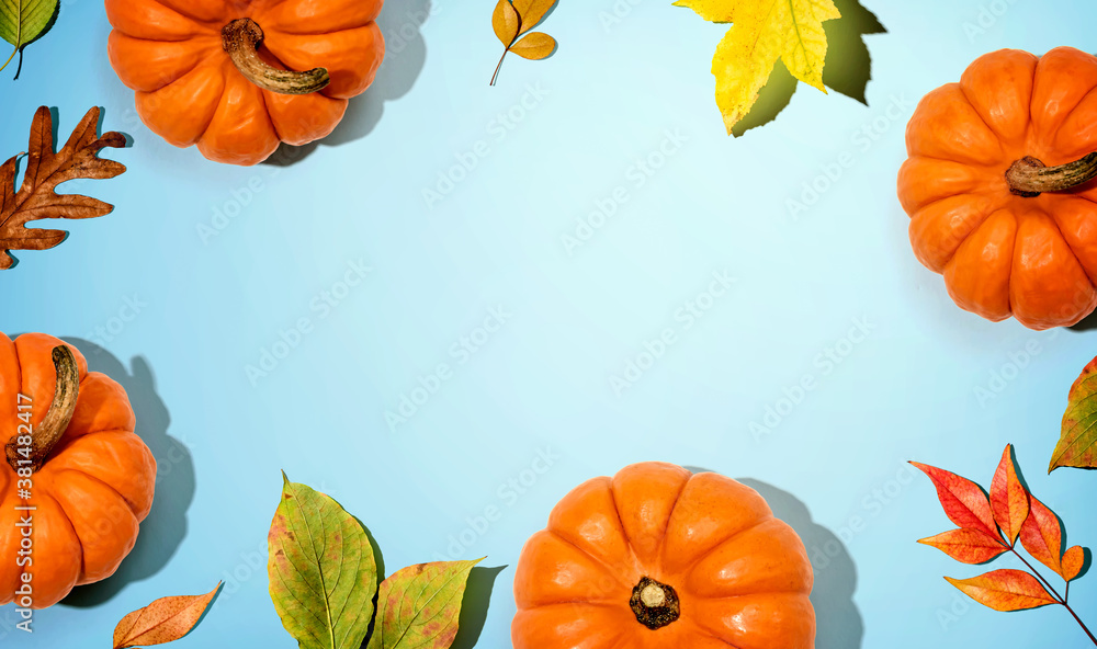 Autumn pumpkins with colorful leaves overhead view - flat lay Autumn pumpkins with colorful leaves overhead view - flat lay