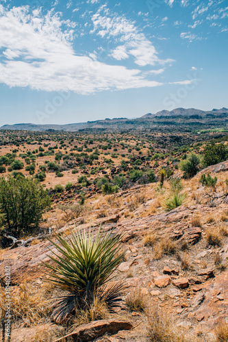 Desert landscape images in west Texas