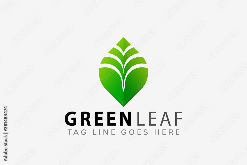 Colorful Green Leaf Creative Logo Design Vector Illustration