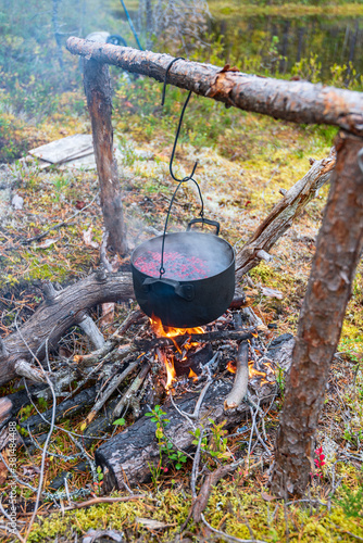 Beautiful campfire in a taiga forest in the wild. Survival in the forest. Cauldron over the fire. In the cauldron, water and berries of lingonberries and blueberries 