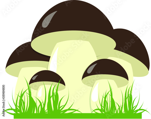 Edible porcini mushrooms in the grass. Isolate on a white background. Forest mushrooms. Flat vector illustration in cartoon 