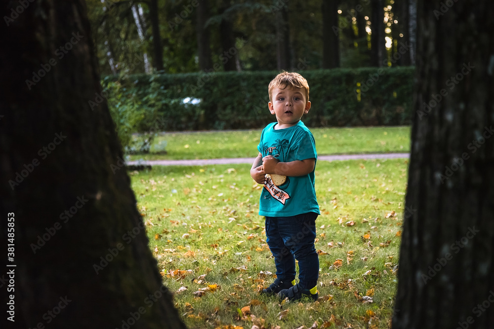 A small child walks in the Park, among the trees. A small child walks in the Park, among the trees.