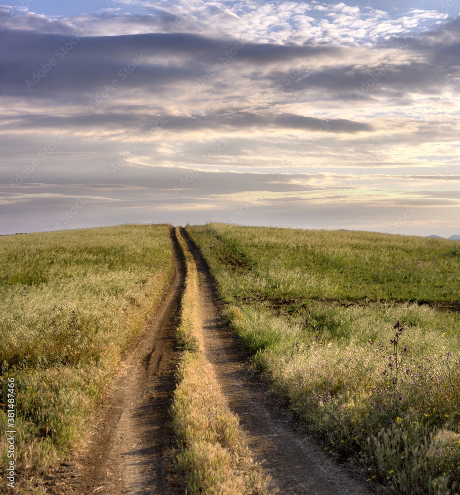Straight And Long Rural Path Crosses Grass Land Of The Sicily Agriculture At The Sunset