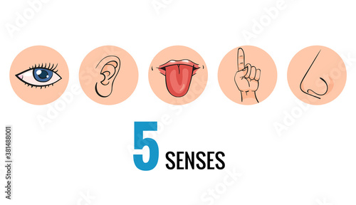 Sensory organs. Nose smell, eyes vision, ears hearing, skin touch, language taste and taste buds. Cartoon sensory organs. Perception of environment, sensations
