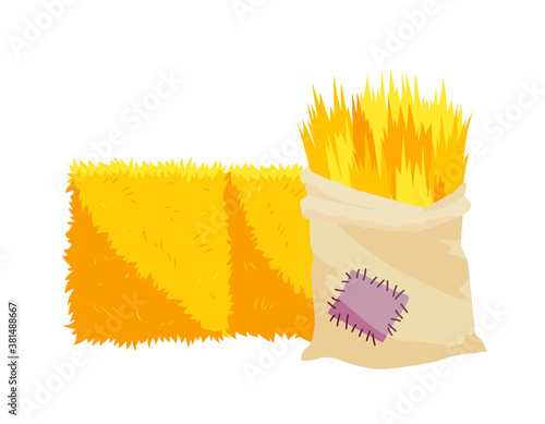 Golden color bale of hay. Bale of hay or straw isolated on white background. Bag of hay. Flat dried haystack, farming haymow bale hayloft, agricultural rural haycock