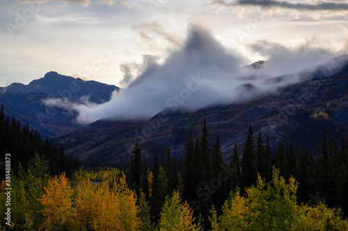 Beautiful View of Colourful Fall Forest and Mountains at Sunrise in on a Cloudy Morning. Tombstone Territorial Park, Yukon, Canada.