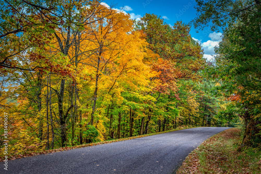 Tree Lined Road Lined With Brilliant Autumn Foliage