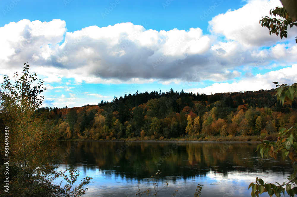 Fall foliage reflecting in Willamette River in Salem Oregon