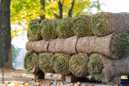 Fotografia Close up of pallets with sod turf grass, rolled grass lawn is ready for laying
