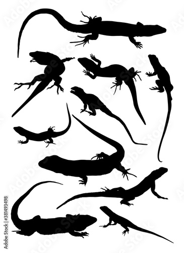  lizard silhouettes vector illustration