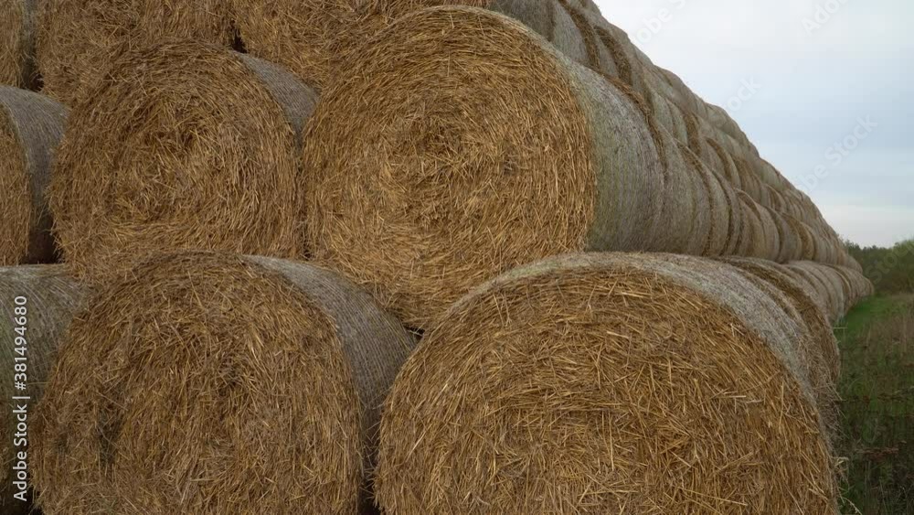 Large hay bales stacked on a field. The scene in a hue of the yellow to golden nature colors. A scenic close-up view of rolls in autumn after harvest time. Large hay bales stacked on a field. The scene in a hue of the yellow to golden nature colors. A scenic close-up view of rolls in autumn after harvest time.
