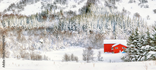 Astonishing winter scenery with traditional Norwegian wooden houses and pine trees near Valberg village at Lofotens. photo